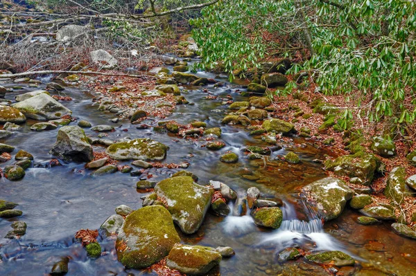 Грейт Смокі Гори Національний Парк Штаті Теннессі Північна Кароліна — стокове фото