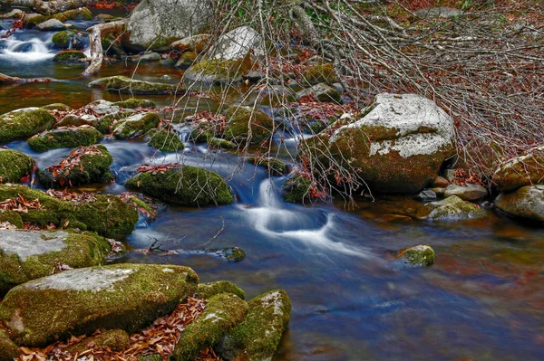 Parque Nacional Great Smoky Mountains Tennessee Carolina Del Norte —  Fotos de Stock