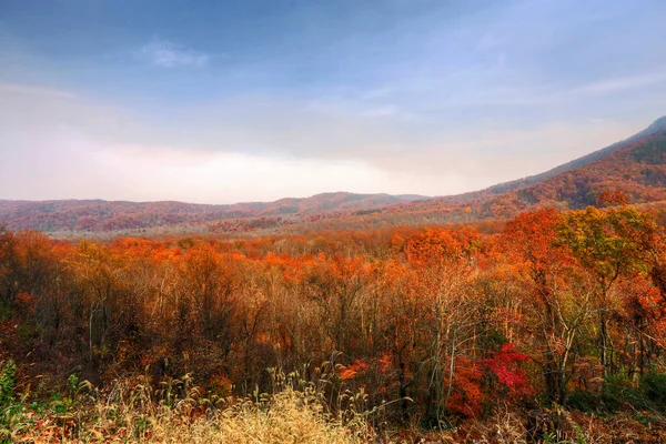 Parque Nacional Great Smoky Mountains Tennessee Carolina Del Norte — Foto de Stock