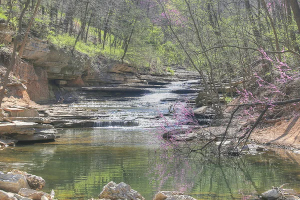 Парк Tanyard Creek Белла Виста Арканзас — стоковое фото