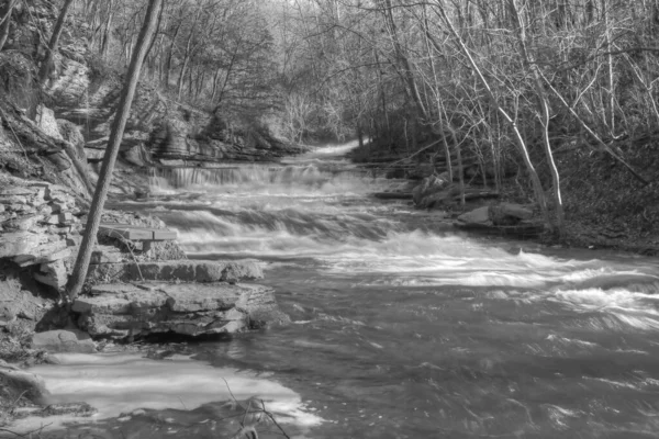 Tanyard Πάρκο Creek Στο Bella Vista Αρκάνσας — Φωτογραφία Αρχείου