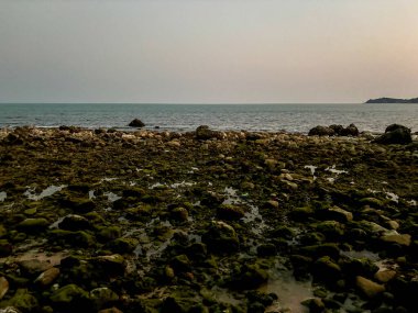 Choengmon Sahili ve Deniz Burnu Panoramik Manzarası, Koh Samui, Turkuaz Okyanusu ve Bereketli Sahil Kıyısı ile Tayland Tropikal Adası Cenneti
