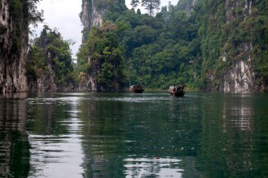 Khao Sok Ulusal Parkı, Surat Thani ili, Tayland
