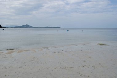 Koh Samui 'deki Silver Beach Manzarası, Tayland Crystal-Clear Waters ve Virstine Shoreline