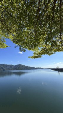 Tayland, Nakhon Nayok 'daki Khun Dan Prakarnchon Barajı' ndan rezervuarın panoramik manzarası ve çevresindeki yemyeşil manzara. Sakin su, yeşil tepeler ve ormanlarla çevrili temiz gökyüzünü yansıtır.