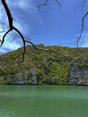 Ang Tanga Ulusal Denizcilik Parkı 'ndaki lagünün fotoğrafı için kapak başlığı oluşturun, Koh Samui