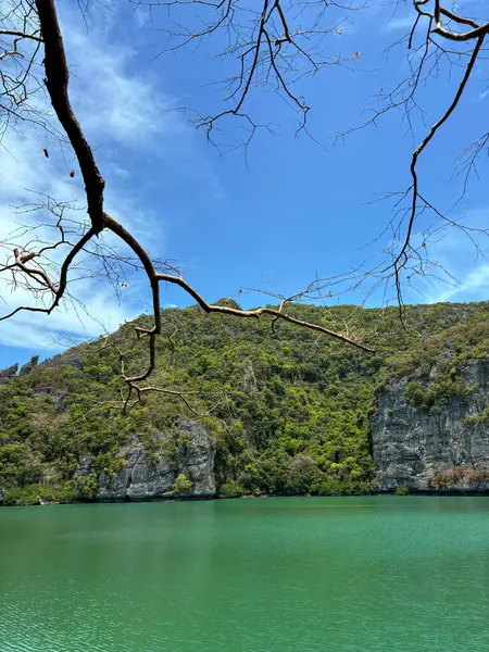 Ang Tanga Ulusal Denizcilik Parkı 'ndaki lagünün fotoğrafı için kapak başlığı oluşturun, Koh Samui