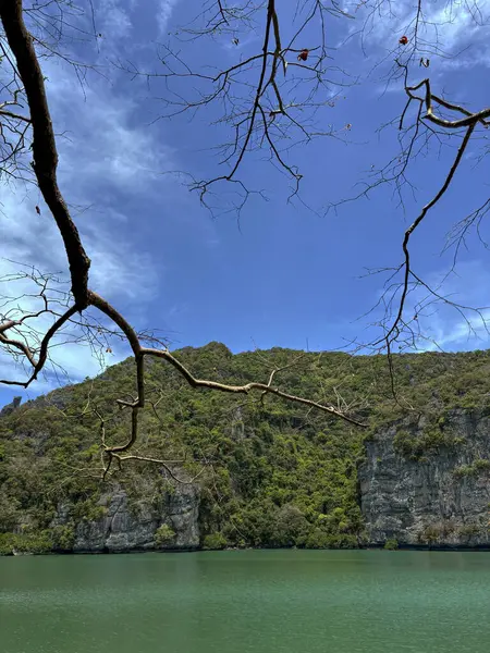 Ang Tanga Ulusal Denizcilik Parkı 'ndaki lagünün fotoğrafı için kapak başlığı oluşturun, Koh Samui