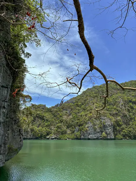 Ang Tanga Ulusal Denizcilik Parkı 'ndaki lagünün fotoğrafı için kapak başlığı oluşturun, Koh Samui