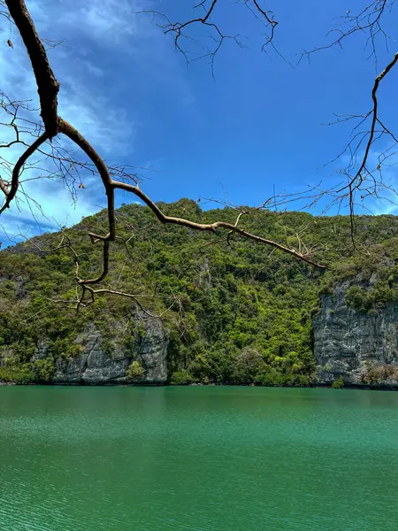 Ang Tanga Ulusal Denizcilik Parkı 'ndaki lagünün fotoğrafı için kapak başlığı oluşturun, Koh Samui