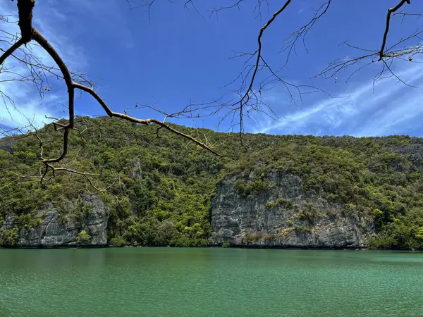 Ang Tanga Ulusal Denizcilik Parkı 'ndaki lagünün fotoğrafı için kapak başlığı oluşturun, Koh Samui
