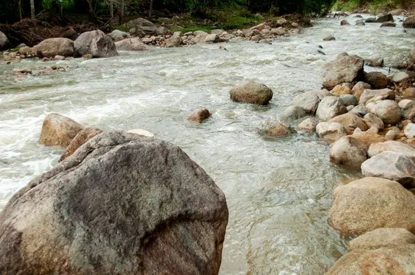 Nakhon Şelalesinden akan nehir Si Thammarat, Tayland Tropikal Orman Akımı