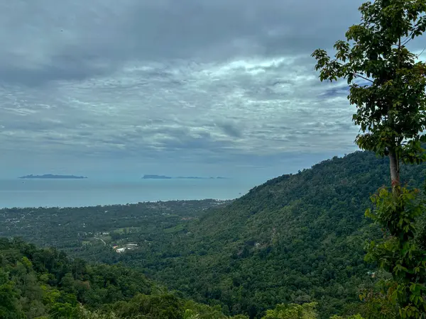 Lipa Noi Tepesinden Panoramik Manzara, Koh Samui, Tayland Okyanus Ufku ile Tropikal Ada Manzarası