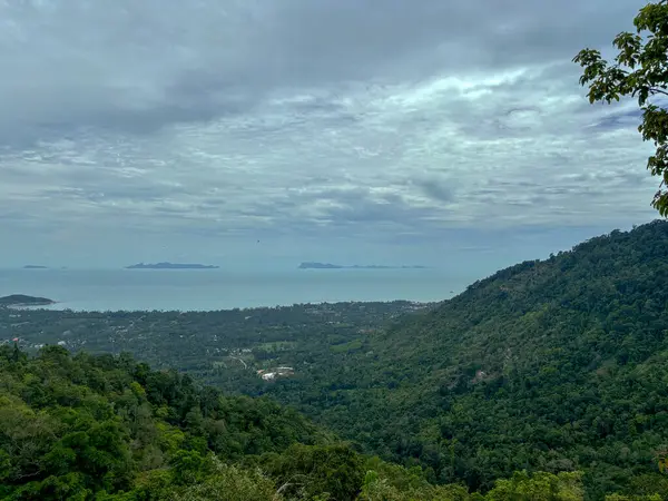 Lipa Noi Tepesinden Panoramik Manzara, Koh Samui, Tayland Okyanus Ufku ile Tropikal Ada Manzarası