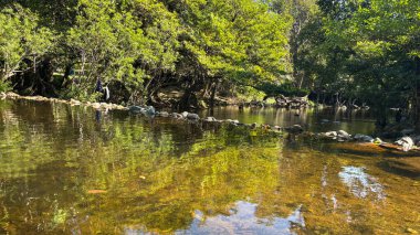 Nakhon Nayok, Tayland 'da Yeşillik ile çevrili Şelale Manzarası