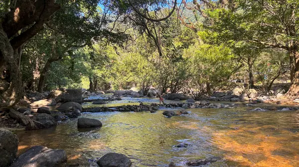 Nakhon Nayok, Tayland 'da Yeşillik ile çevrili Şelale Manzarası
