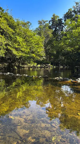 Nakhon Nayok, Tayland 'da Yeşillik ile çevrili Şelale Manzarası