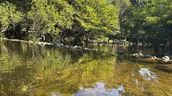 Nakhon Nayok, Tayland 'da Yeşillik ile çevrili Şelale Manzarası