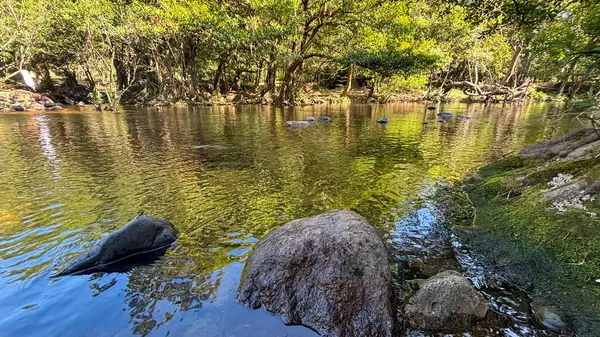 Nakhon Nayok, Tayland 'da Yeşillik ile çevrili Şelale Manzarası