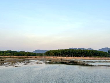 Tayland, Nakhon Si Thammarat kırsalındaki Talay Prong Gölü 'nün sakin manzarası