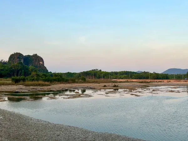 Tayland, Nakhon Si Thammarat kırsalındaki Talay Prong Gölü 'nün sakin manzarası