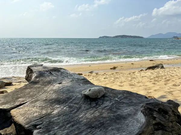 Sahildeki ahşap kütük mavi deniz ve gökyüzü arka planı, Hanuman Körfezi, Koh Samui, Tayland