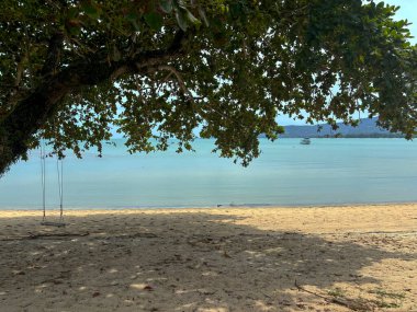 Lipa Noi Sahili 'nde Tropik Plaj Salıncakları Tayland' da Koh Samui Cenneti