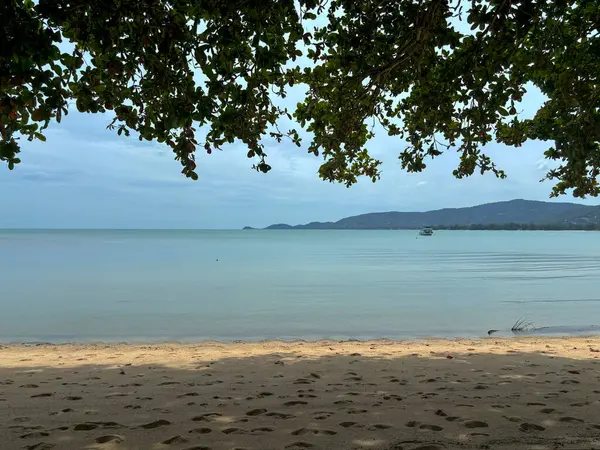Lipa Noi, Koh Samui, Tayland 'da Parlak Tropik Plaj Sahnesi Yaz Günü