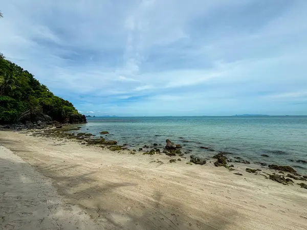 Serene Tropikal Sahili Taling Ngam Sahili, Koh Samui, Tayland Körfezi