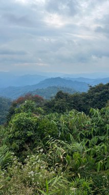 Sabah Kaeng Krachan Ulusal Parkı, Phetchaburi, Tayland 'da bulutlu gökyüzü manzarası