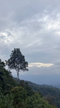 Sabah Kaeng Krachan Ulusal Parkı, Phetchaburi, Tayland 'da bulutlu gökyüzü manzarası