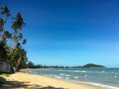 Koh Samui, Tayland 'da Beyaz Kum ve Mavi Gökyüzü ile Tropik Plaj