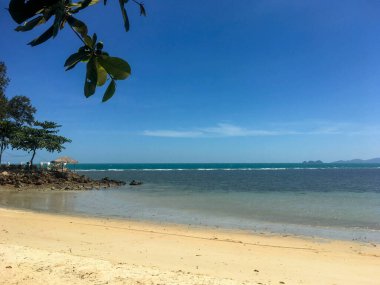 Beyaz Kum ve Yeşil Yapraklı Tropik Plaj Koh Samui, Tayland 'da güneşli bir günde