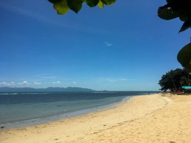 Beyaz Kum ve Yeşil Yapraklı Tropik Plaj Koh Samui, Tayland 'da güneşli bir günde