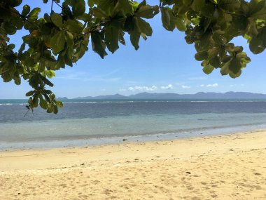 Beyaz Kum ve Yeşil Yapraklı Tropik Plaj Koh Samui, Tayland 'da güneşli bir günde