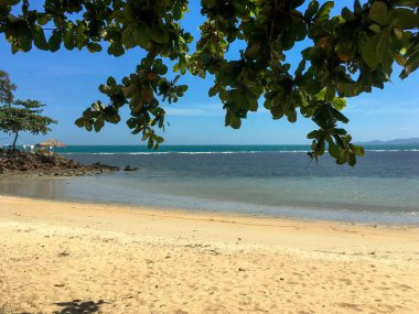 Beyaz Kum ve Yeşil Yapraklı Tropik Plaj Koh Samui, Tayland 'da güneşli bir günde