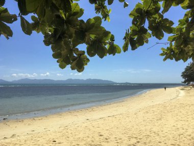 Beyaz Kum ve Yeşil Yapraklı Tropik Plaj Koh Samui, Tayland 'da güneşli bir günde