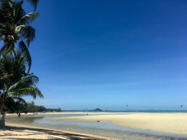 Koh Samui, Tayland 'da Beyaz Kum ve Mavi Gökyüzü ile Tropik Plaj