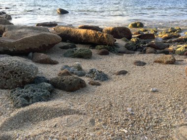 Sunset Rocky Plajı 'ndaki Sahil Dinginliği ve Naturism Plajı' ndaki Sakin Okyanus, Koh Samui, Tayland