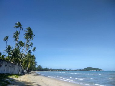Nathon Sahili, Koh Samui, Tayland 'da Lush Trees ve Blue Sky ile kumsal