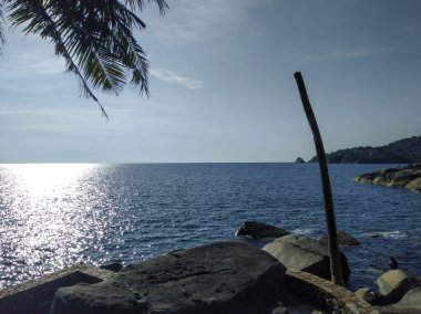Phuket Adası, Tayland 'da Hindistan Cevizi Ağacı ve Açık Mavi Deniz ile Güzel Tropikal Deniz Burnu