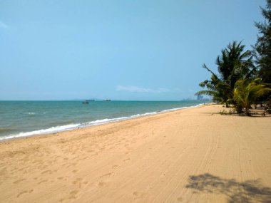 Jomtien Sahili 'nde Coconut Palm Trees, Chonburi, Tayland Sahili Sahili