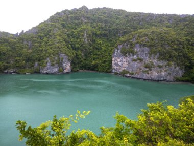 Ang Thong Ulusal Deniz Parkı, Koh Samui, Turkuaz Suyu ve yemyeşil uçurumları olan Tayland Tropikal Cenneti