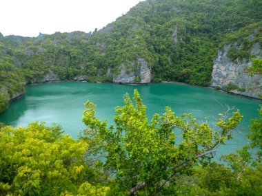 Ang Thong Ulusal Deniz Parkı, Koh Samui, Turkuaz Suyu ve yemyeşil uçurumları olan Tayland Tropikal Cenneti