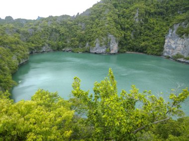 Ang Thong Ulusal Deniz Parkı, Koh Samui, Turkuaz Suyu ve yemyeşil uçurumları olan Tayland Tropikal Cenneti