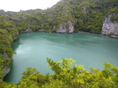 Ang Thong Ulusal Deniz Parkı, Koh Samui, Turkuaz Suyu ve yemyeşil uçurumları olan Tayland Tropikal Cenneti