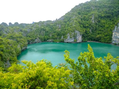 Ang Thong Ulusal Deniz Parkı, Koh Samui, Turkuaz Suyu ve yemyeşil uçurumları olan Tayland Tropikal Cenneti