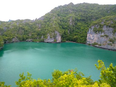 Ang Thong Ulusal Deniz Parkı, Koh Samui, Turkuaz Suyu ve yemyeşil uçurumları olan Tayland Tropikal Cenneti