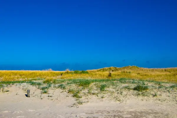 Romo Danimarka 'nın mavi, açık gökyüzü ve sarı yeşil kumulları arasındaki güzel kontrast