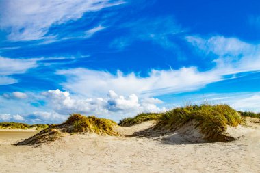 Danimarka 'nın Kuzey Denizi' nde güneş ışığındaki güzel kumul manzarası